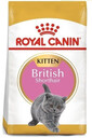 Royal Canin British Shorthair Kitten 10 kg - granule pro britská krátkosrstá koťata