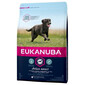Eukanuba Adult Large Breed Chicken 15 kg granule pro psy s kuřecím masem