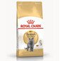 Royal Canin British Shorthair 400 g granule pro dospělé krátkosrsté kočky